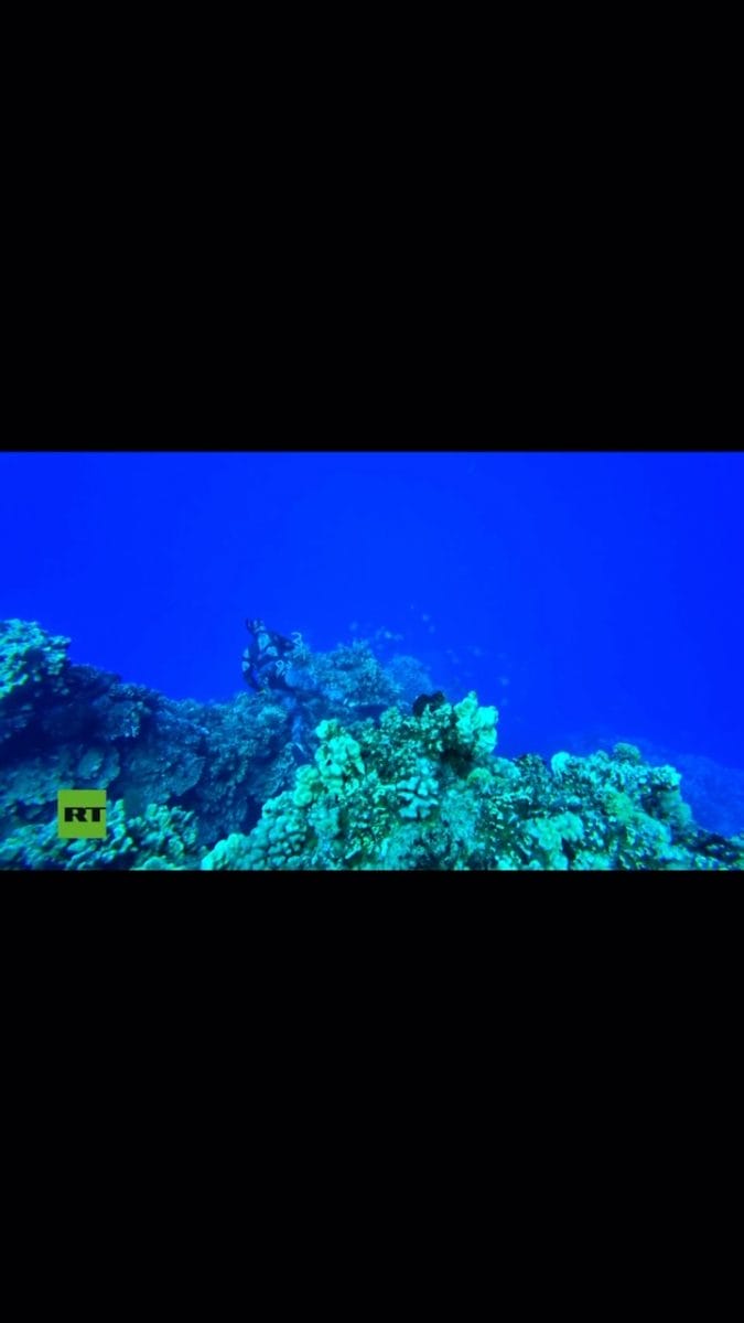 Start Pro Cressi - Tienda De Buceo Pesca Submarina Y Apnea - Subpacifico Tienda De Buceo