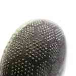 Escarpines 7Mm Caranx Epsealon