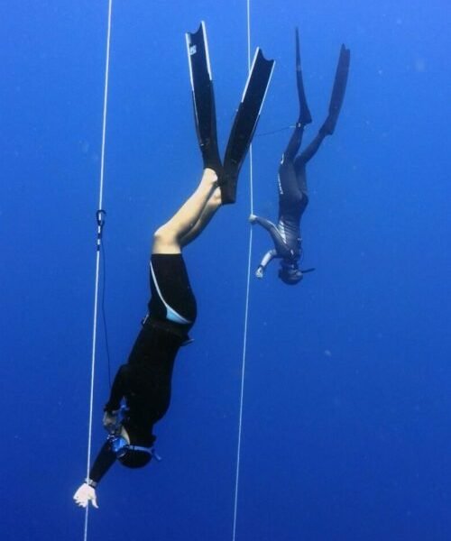 Curso De Apnea Avanzado