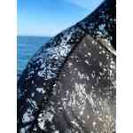 Traje De Buceo 5Mm Seabass Epsealon