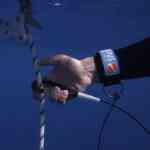 Lanyard De Competencia Apnea 100cm Octopus Azul