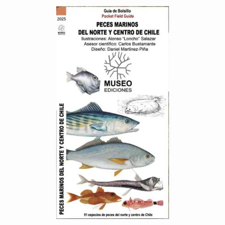 Guia De Bolsillo - Peces Marinos Del Norte Y Centro De Chile