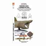 Guia De Bolsillo - Tiburones Rayas Y Quimeras De Chile