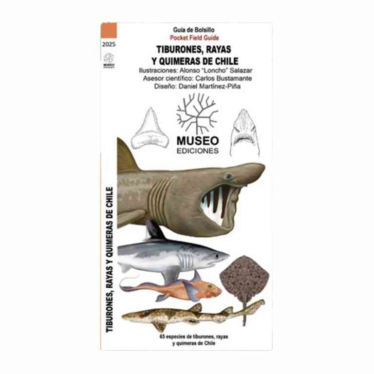 Guia De Bolsillo - Tiburones Rayas Y Quimeras De Chile